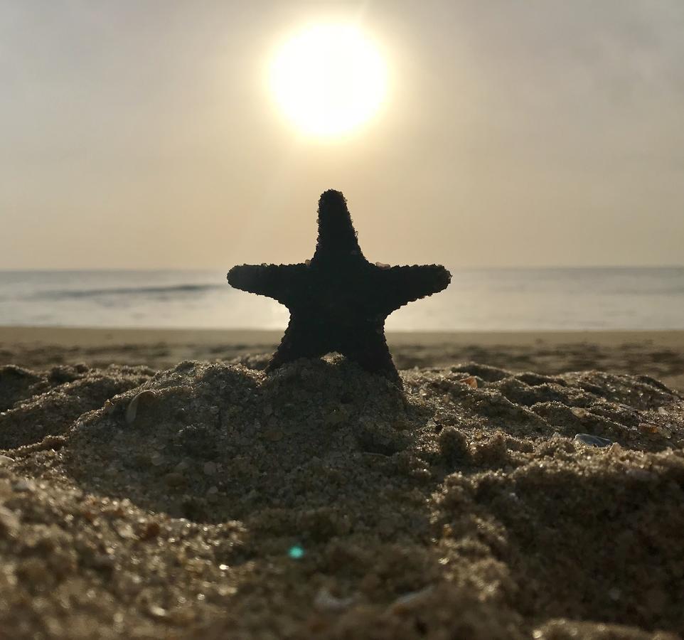 Starfish Beach Bungalows آروغام المظهر الخارجي الصورة